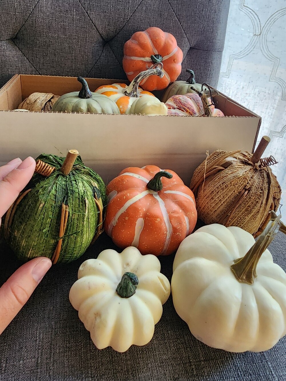 Assorted Mini Pumpkins - Picture 3 of 11